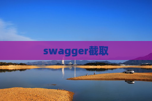 swagger截取